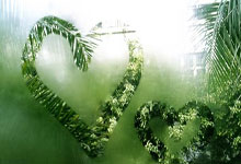 2024属龙清新脱俗气质的女孩名字(精选15个)